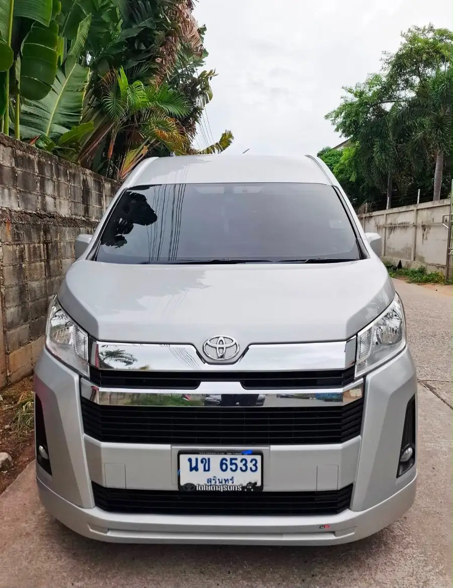 A VIP Minivan photographed head-on beside a wall with banana palms behind it.