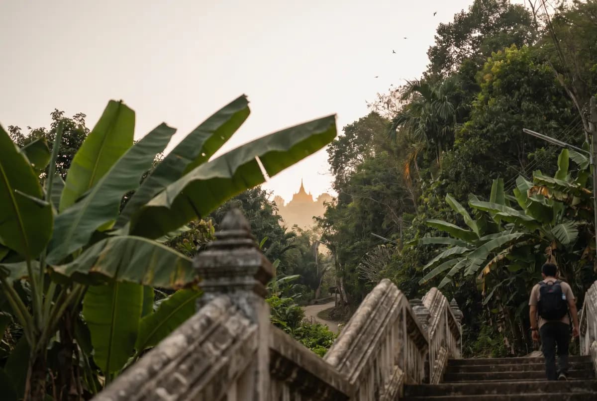 A broad stone staircase with a carved naga balustrade climbing through jungle towards a golden temple spire in the mist